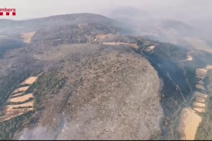 Vista aérea de esta mañana de la zona quemada al incendio de Baldomar, en la Noguera