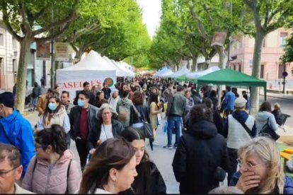 Ambiente en las ramblas Francesc Macià y Ferran de Lleida en las primeras horas de la festividad de Sant Jordi