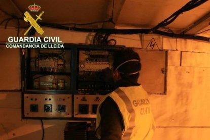 Los agentes decomisaron un total de 634 plantas en dos salas acondicionadas para su cultivo.