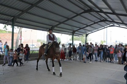 Gegard Hoyas i Amado Forrolla
