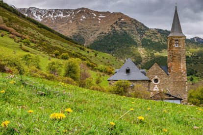 Arbres florits, camps verds i bon temps...ja és aquí la primavera!