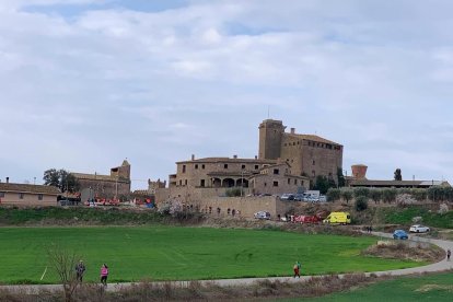 Arbres florits, camps verds i bon temps...ja és aquí la primavera!