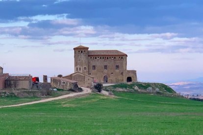 Arbres florits, camps verds i bon temps...ja és aquí la primavera!
