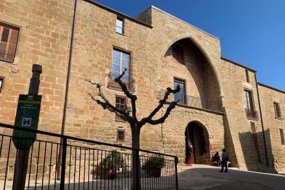 Arbres florits, camps verds i bon temps...ja és aquí la primavera!