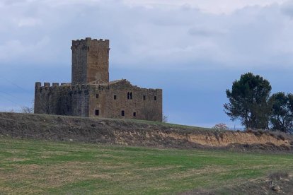 Arbres florits, camps verds i bon temps...ja és aquí la primavera!