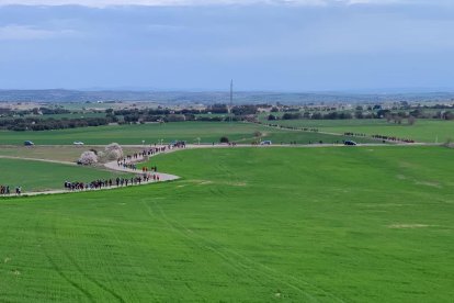 Arbres florits, camps verds i bon temps...ja és aquí la primavera!