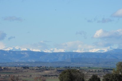 Arbres florits, camps verds i bon temps...ja és aquí la primavera!