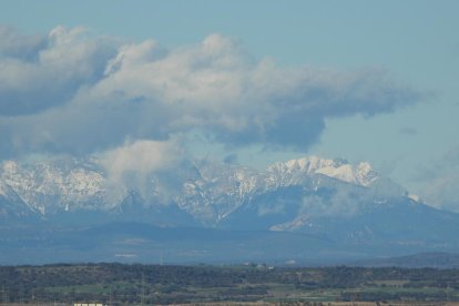 Arbres florits, camps verds i bon temps...ja és aquí la primavera!