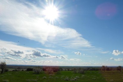 Arbres florits, camps verds i bon temps...ja és aquí la primavera!