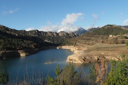 Arbres florits, camps verds i bon temps...ja és aquí la primavera!