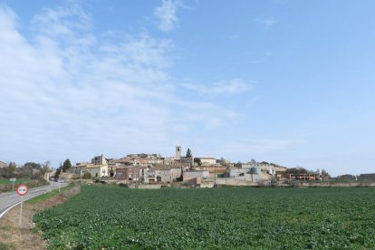 Arbres florits, camps verds i bon temps...ja és aquí la primavera!
