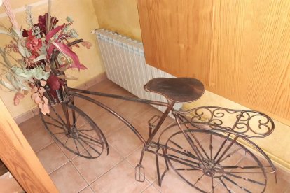 Arbres florits, camps verds i bon temps...ja és aquí la primavera!