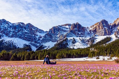 Arbres florits, camps verds i bon temps...ja és aquí la primavera!
