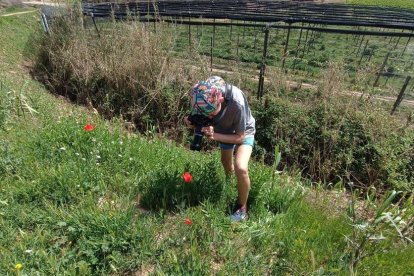 Arbres florits, camps verds i bon temps...ja és aquí la primavera!