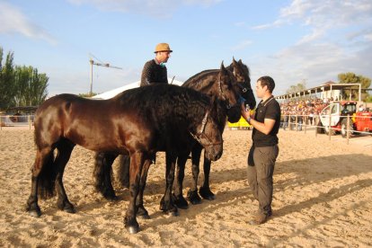 Les autoritats, a la nova pista de doma.