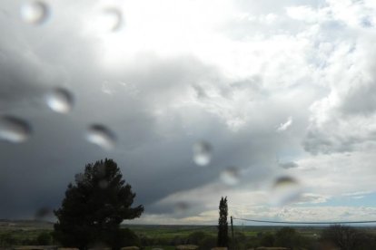 Arbres florits, camps verds i bon temps...ja és aquí la primavera!