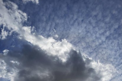 Arbres florits, camps verds i bon temps...ja és aquí la primavera!