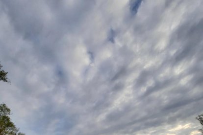 Arbres florits, camps verds i bon temps...ja és aquí la primavera!