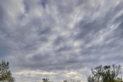 Arbres florits, camps verds i bon temps...ja és aquí la primavera!