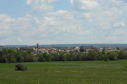 Arbres florits, camps verds i bon temps...ja és aquí la primavera!