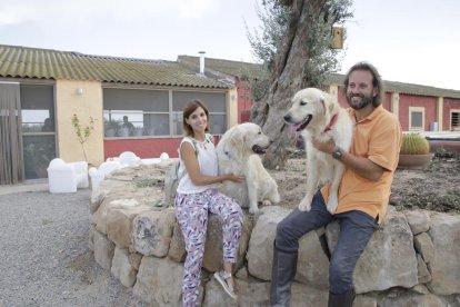 Carles Casanovas junto a algunos de los caballos del club Hípica L’Arca, que participan en clases de hípica y ejercicios terapéuticos.