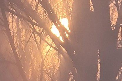 El frío, la niebla y la nieve... ¡el invierno ya está aquí!