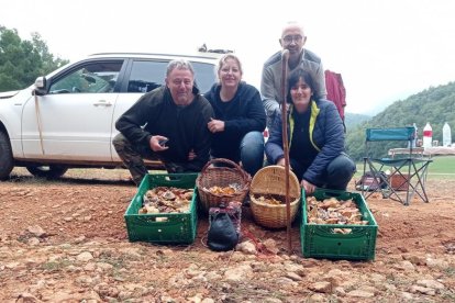 Ceps, rovellons, fredolics...envia'ns fotos de la teua excursió al bosc