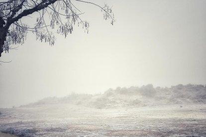 El frío, la niebla y la nieve... ¡el invierno ya está aquí!