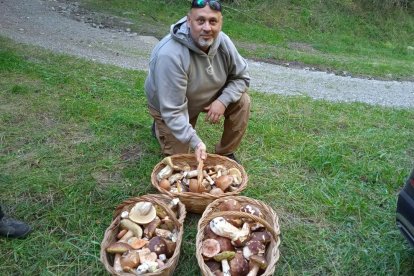 Ceps, rovellons, fredolics...envia'ns fotos de la teua excursió al bosc