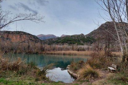 El frío, la niebla y la nieve... ¡el invierno ya está aquí!