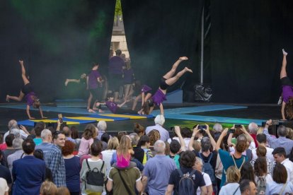 M. Altisent, G. Hoyas, J. Echevarria, M. Codinas