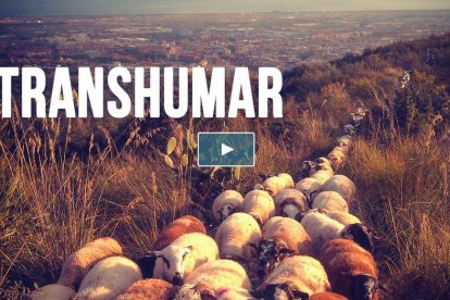 projectes. Des d’una col·lecció de cromos de científics fins a un documental sobre la transhumància, passant per teatre.