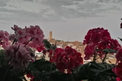 Calor, tempestes, camps grocs...ja és aquí l'estiu!