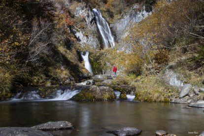 La boira, les fulles seques, els seus fruits... la tardor és una estació molt fotogènica.