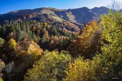 La boira, les fulles seques, els seus fruits... la tardor és una estació molt fotogènica.