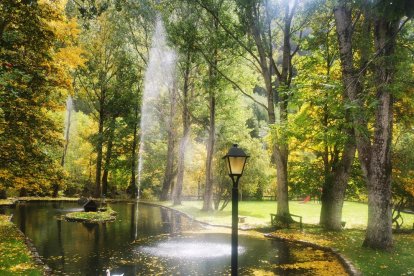 La boira, les fulles seques, els seus fruits... la tardor és una estació molt fotogènica.