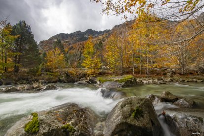 La boira, les fulles seques, els seus fruits... la tardor és una estació molt fotogènica.