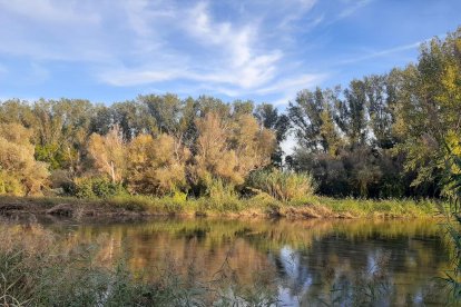 La boira, les fulles seques, els seus fruits... la tardor és una estació molt fotogènica.