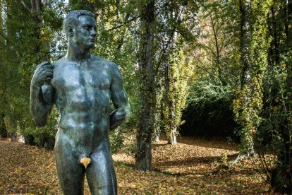 La boira, les fulles seques, els seus fruits... la tardor és una estació molt fotogènica.