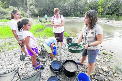 Petits i grans busquen palletes d’or al riu mitjançant l’antic procés de tamisat.