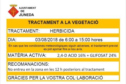 Arbustos descontrolados en una avenida leridana.