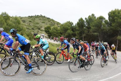 Els corredors circulant, encara en sortida neutralitzada, pel pont de la universitat.