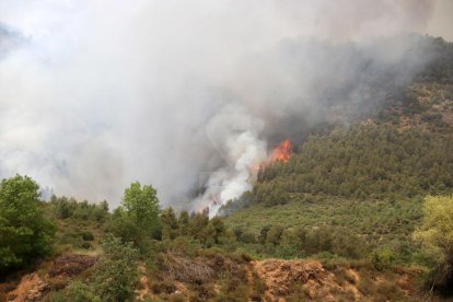 En el municipio de Artesa de Segre