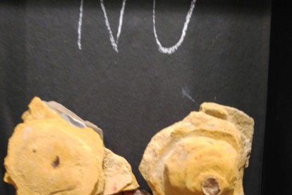 Exploradora artística