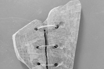 Exploradora artística