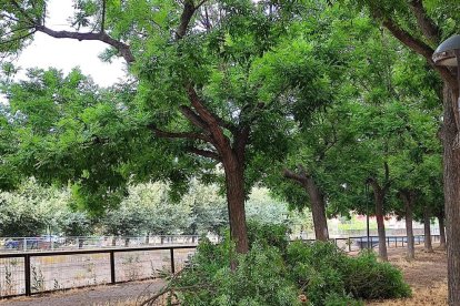 Martes 22 de junio de 2022