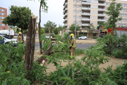 Martes 22 de junio de 2022