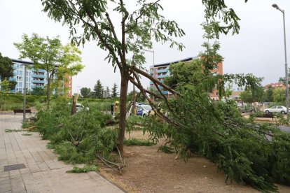 Martes 22 de junio de 2022