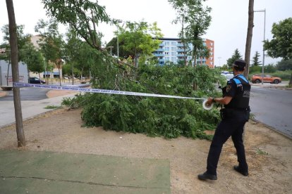 Martes 22 de junio de 2022