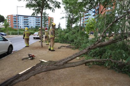 Martes 22 de junio de 2022